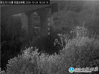 民雄台林橋