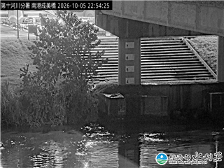 南港成美橋