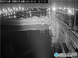 羊稠厝大排