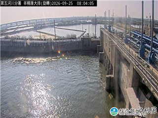 羊稠厝大排