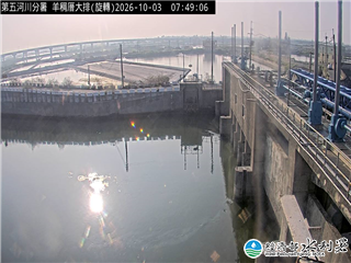 羊稠厝大排