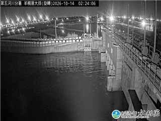 羊稠厝大排