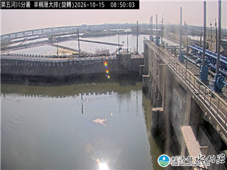羊稠厝大排