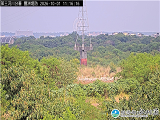 豐洲堤防