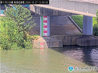 南港成美橋(固)